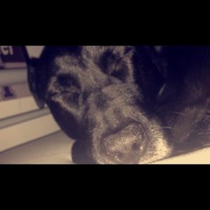 Meet your Posher, Kurt